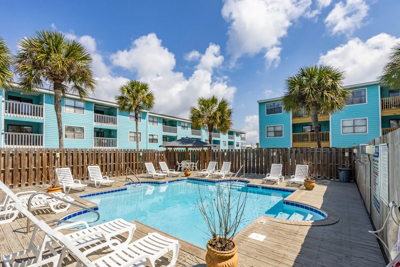 Adults-only pool wide view with palm trees